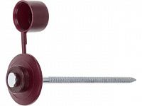 Гвоздь кровельный 2.8х70 мм с пласт. шляпкой, бордо (100 шт в пласт. конт.) STARFIX (для ондулина)