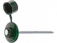 Гвоздь кровельный 2.8х70 мм с пласт. шляпкой, зеленый (100 шт в пласт. конт.) STARFIX (для ондулина)