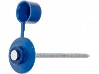 Гвоздь кровельный 2.8х70 мм с пласт. шляпкой, синий (100 шт в пласт. конт.) STARFIX (для ондулина)