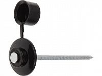 Гвоздь кровельный 2.8х70 мм с пласт. шляпкой, черный (100 шт в пласт. конт.) STARFIX (для ондулина)